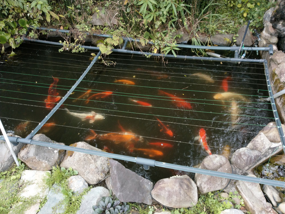 決まりました)浄化槽ブロワ 水槽、池にも - 家電